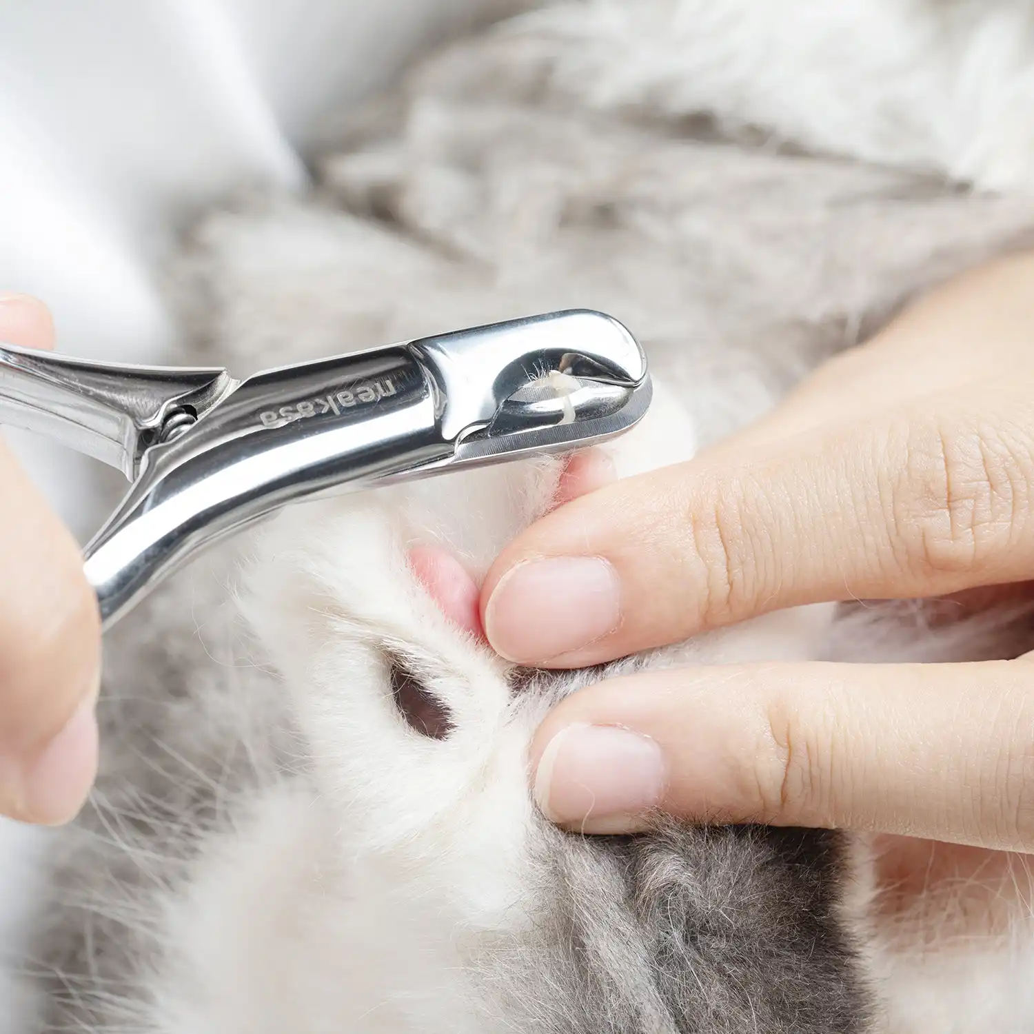 Neakasa Dog Car Seat, Nail Clipper & Mineral Cat Litter Bundle - Image 8