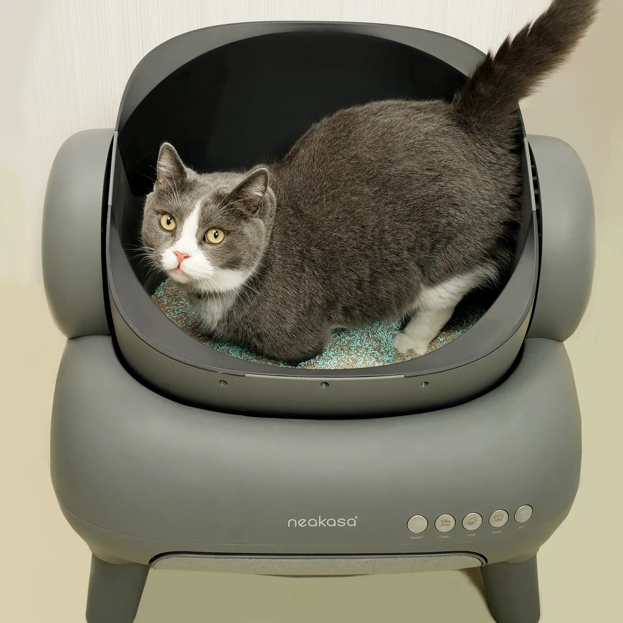 Neakasa Cat Litter Deodorizer - Image 5
